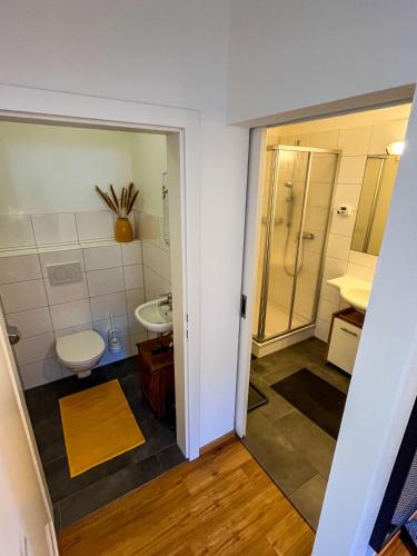 a bathroom with a toilet and a sink at Bestezeit Appartements in Schladming