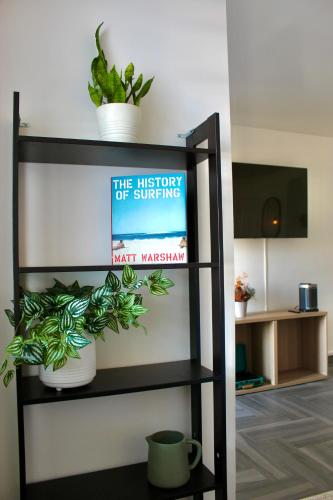 a book shelf with books and plants on it at Estudio acogedor en zona costera in Ensenada