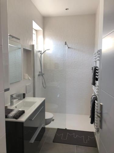 une salle de bain avec un lavabo, des toilettes et une douche dans l'établissement La maison d’Alice, à Aix-les-Bains