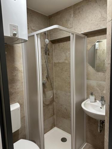 エアフルトにあるSiDi Doppelzimmer 1のシャワー、トイレ、洗面台を備えたバスルーム