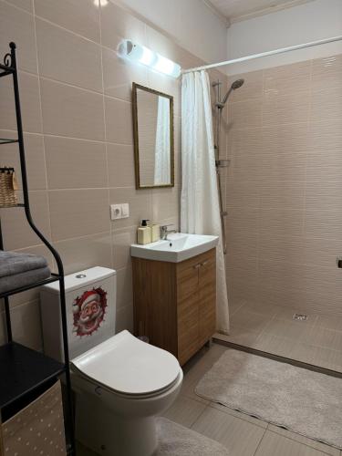 a bathroom with a toilet and a sink and a shower at Villa Midesta in Šiauliai