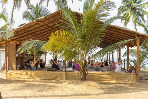 a group of people sitting on a beach under a palm tree at Ravi Yoga Retreat in Polem