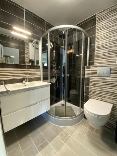 une salle de bain avec une douche, des toilettes et un lavabo dans l'établissement Carnon plage bord de mer et piscine, studio 1 chambre, à Mauguio