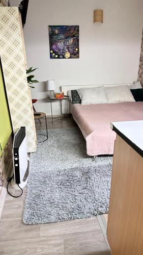 a living room with a couch and a rug at Domeček u letište s vlastním vstupem a vlastní zahrádkou in Ponětovice