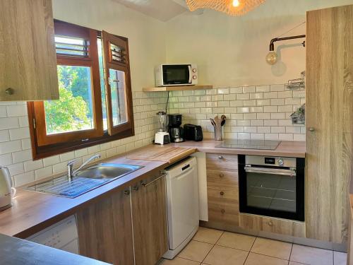 een keuken met een spoelbak en een aanrechtblad bij Villa Tara Fort Royal in Deshaies