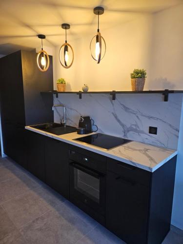 La cuisine est équipée de placards noirs, d'un évier et de lumières. dans l'établissement L'évidence, à Nice