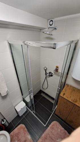 a shower with a glass door in a bathroom at studio apartman Najdanović in Vrnjačka Banja