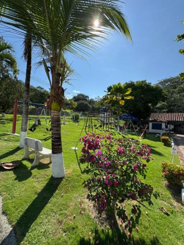 a park with a playground with a palm tree and flowers at Acogedora cabaña en la Pintada in La Pintada