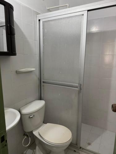 a white bathroom with a toilet and a shower at Acogedora cabaña en la Pintada in La Pintada