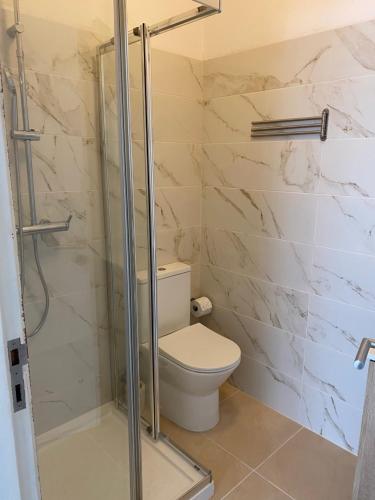 a bathroom with a toilet and a shower at Casas dos Seixos in Moledo