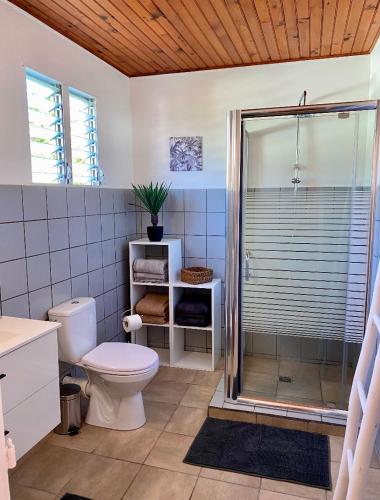 a bathroom with a toilet and a glass shower at Les Alizés 3 chambres et piscine Les Anses d Arlet in Les Anses-dʼArlets
