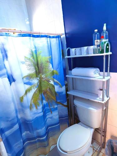 a bathroom with a toilet and a blue shower curtain at Habitacion 11 independiente con mucha privacidad ,cerca del consulado , CAS , a 200 mts del vado del rio in Hermosillo