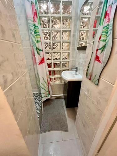 une salle de bain avec un lavabo et une douche dans l'établissement Coup de Cœur à Montmartre - Eugène Suë, à Paris