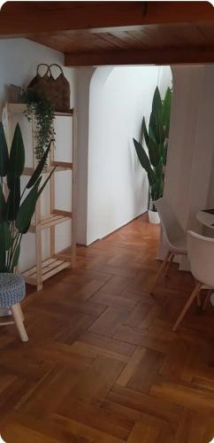 Cozy flat near Kazinczy downtown