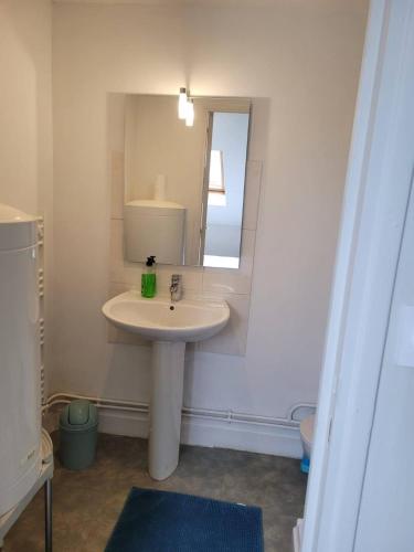 a bathroom with a sink and a mirror at Parfait F1, Entrée du Havre #11 in Le Havre