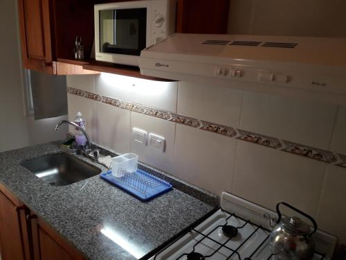 Kuchyň nebo kuchyňský kout v ubytování Apartamentos Barranca de Termas