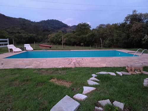 un cane che cammina di fronte alla piscina di Camping encontro das águas a São Thomé das Letras