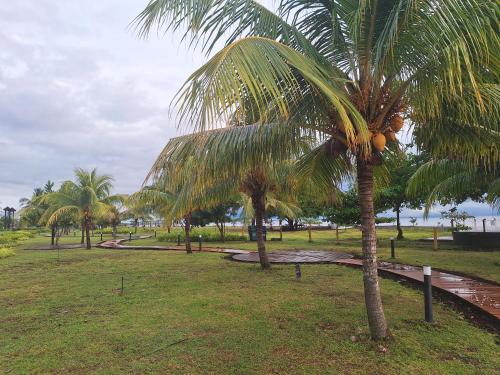 a palm tree in a park next to the water at Seafront Residences Vacation Home in Batangas City