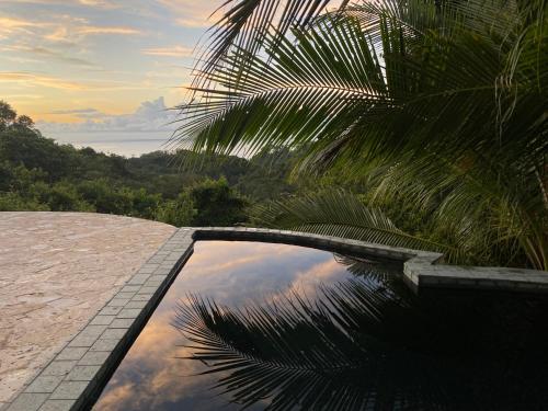 a reflection of a palm tree in a pool at Private Home in Montezuma with Ocean View in Montezuma