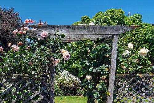 an old wooden gate with roses in a garden at Kina Beach House in Tasman