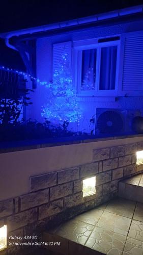 a christmas tree in a window with blue lights at Chez Maurizio in Villemanoche