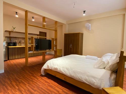 a bedroom with a bed and a television in it at Cozy French studio apartment with balcony in Kathmandu