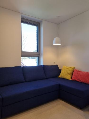 a blue couch in a room with a window at Laon on 37 in Tongyeong