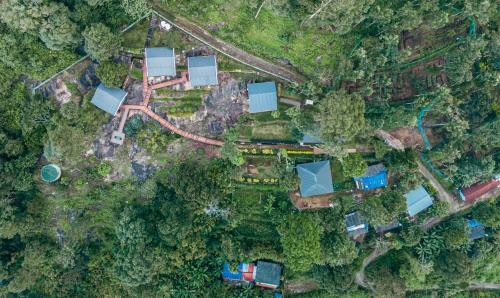 an overhead view of a forest with houses and roads at Hilltop Munnar by Fracspace in Munnar
