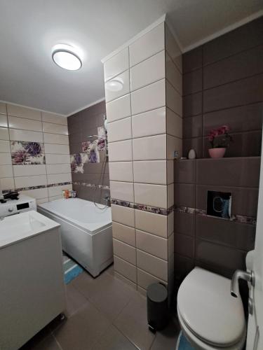 a bathroom with a tub and a toilet and a sink at Sweet cozy apartment in Roman