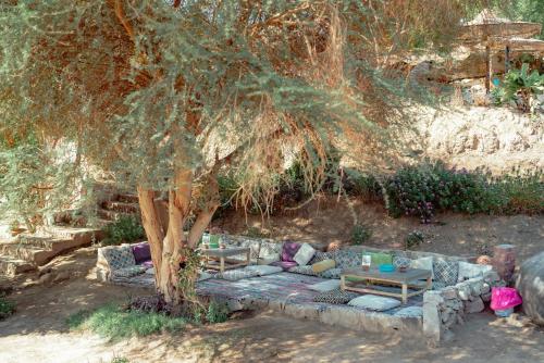 Κήπος έξω από το Krouma Camp & Ecolodge