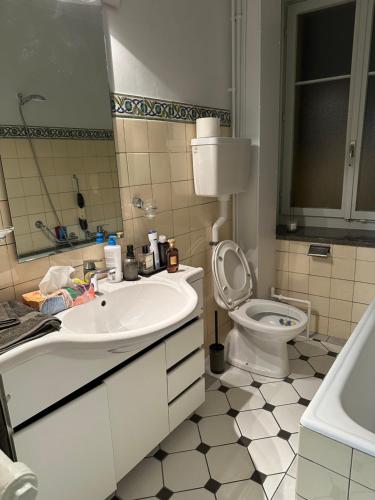 a bathroom with a sink and a toilet at Fernando in La Chaux-de-Fonds