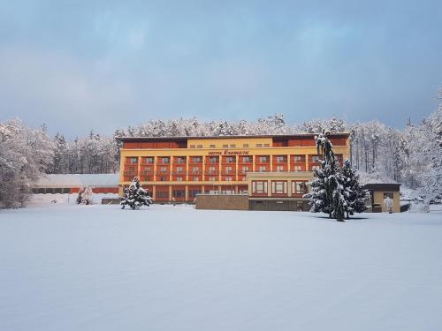 Wellness Resort Energetic