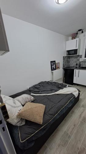 - un grand lit dans une chambre aux murs blancs dans l'établissement Studette cosy ideal pour un séjour parisien métro Duroc, à Paris