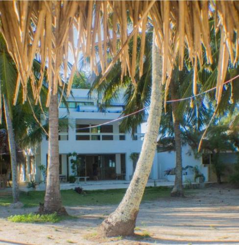 a group of palm trees in front of a building at Oasis em Praia Azul in Pitimbu