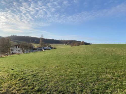 a large green field with a house in the distance at Pension am Hohberghof Dielheim in Dielheim