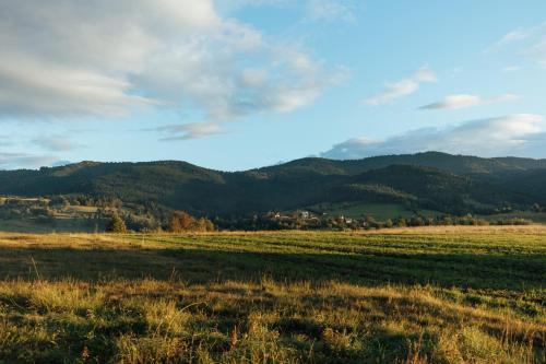 a field of grass with mountains in the background at Domki na Widoku in Lubomierz
