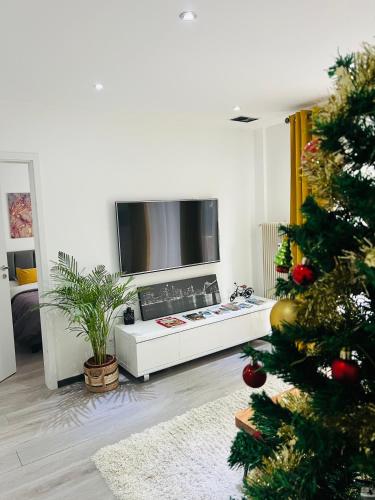 a living room with a christmas tree and a tv at Superbe appartement lumineux avec parking gratuit in Wintzenheim