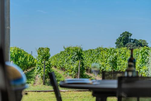 Photo de la galerie de l'établissement Maison cosy Vue sur le vignoble St Emilion, à Saint-Émilion