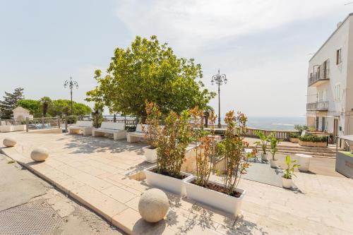 a row of plants in white pots on a sidewalk at Ricasoli27 in Mottola