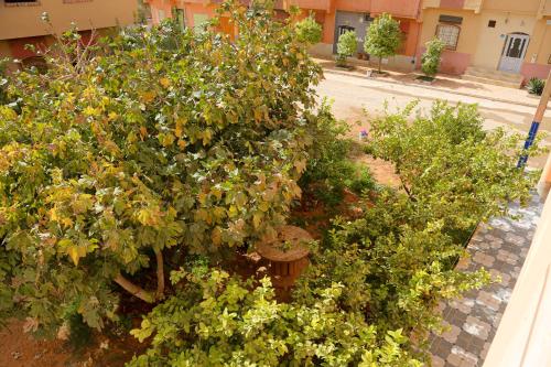 Elhachimi two bedroom with air conditioningにある庭