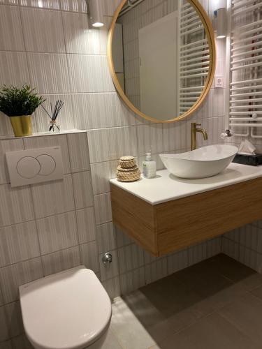 a bathroom with a sink and a toilet and a mirror at Stadthaus Apartment mit Garten und Parkplatz in Zagreb