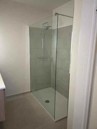 a shower with a glass door in a bathroom at NEW Design apartment in Brussels in Brussels