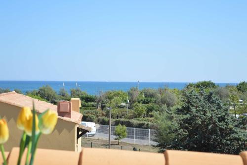 Appartement 3 pièces CAP D'AGDE CT230-210