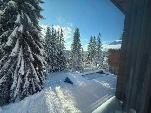 Apartmány Petr Horní Mísečky - Špindlerův Mlýn om vinteren