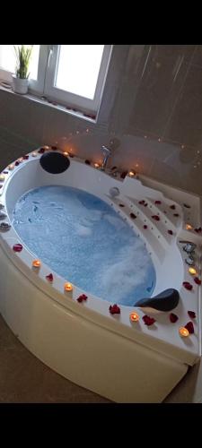 a large bath tub with at Boom House Fruska Gora in Irig