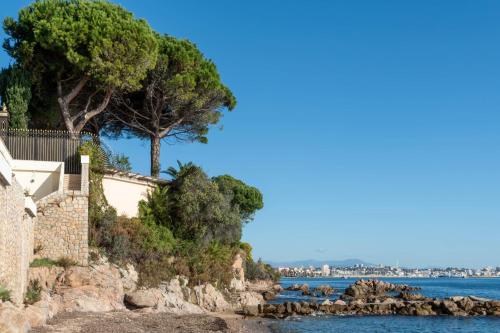 un arbre sur la rive d'une masse d'eau dans l'établissement Côte d’Azur Sea View Tennis Beach Access, à Vallauris