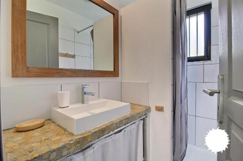 a bathroom with a sink and a mirror at Ty Glaz et ty Perenn, les gîtes de Rhuys in Sarzeau