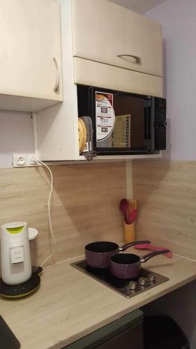 - une cuisine équipée d'un four micro-ondes et de deux plaques de cuisson dans l'établissement Au pied des pistes, à Villard-de-Lans