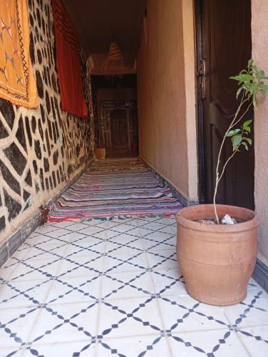 a potted plant sitting on the floor of a hallway at Atlas Pearl in Aguersioual
