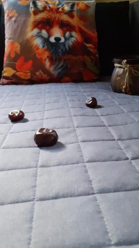 a bed with chocolate covered cookies on it with a pillow at Zaciszny Zakątek Zawoja in Zawoja